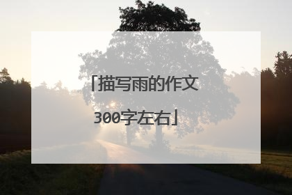 描写雨的作文300字左右