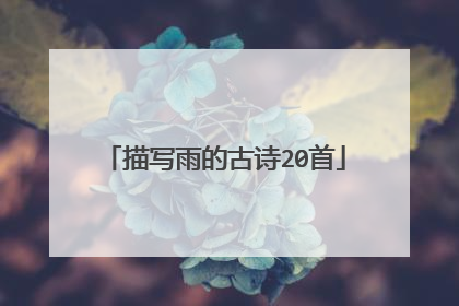 描写雨的古诗20首