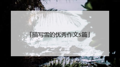 描写雪的优秀作文5篇