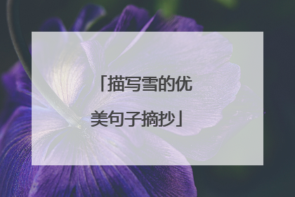 描写雪的优美句子摘抄