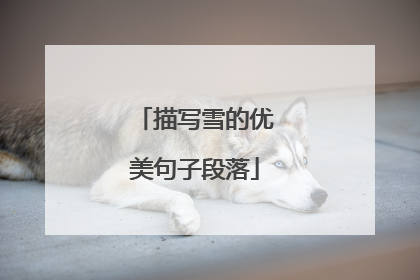 描写雪的优美句子段落