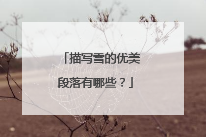 描写雪的优美段落有哪些?
