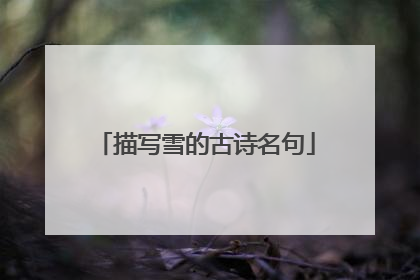 描写雪的古诗名句