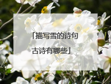 描写雪的诗句古诗有哪些