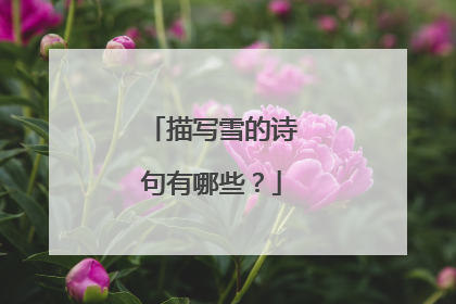 描写雪的诗句有哪些?