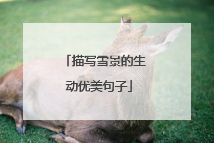 描写雪景的生动优美句子