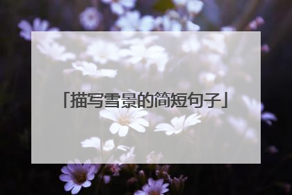 描写雪景的简短句子