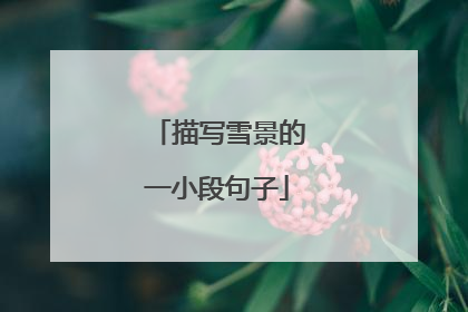 描写雪景的一小段句子