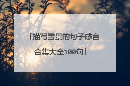 描写雪景的句子感言合集大全100句