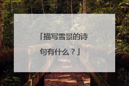 描写雪景的诗句有什么？