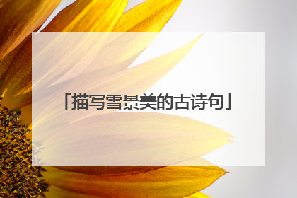 描写雪景美的古诗句