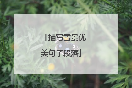 描写雪景优美句子段落