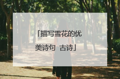 描写雪花的优美诗句 古诗