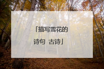 描写雪花的诗句 古诗