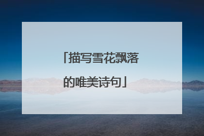 描写雪花飘落的唯美诗句