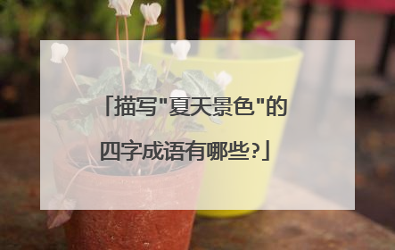 描写