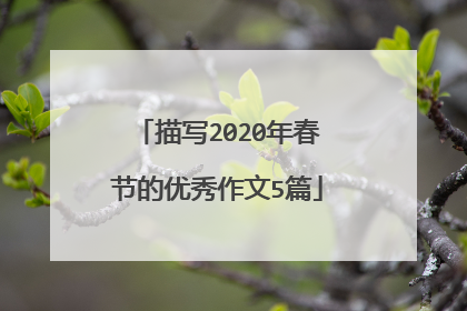 描写2020年春节的优秀作文5篇