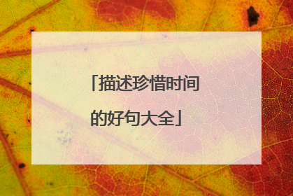 描述珍惜时间的好句大全