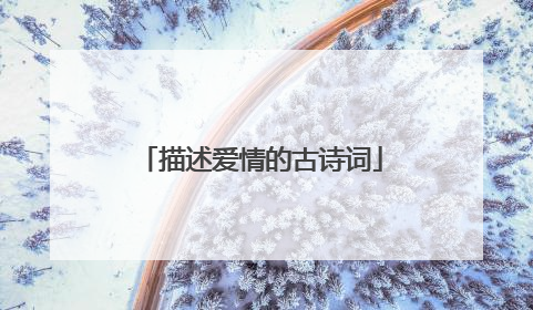 描述爱情的古诗词