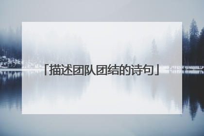 描述团队团结的诗句