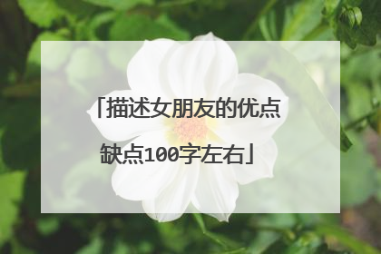 描述女朋友的优点缺点100字左右