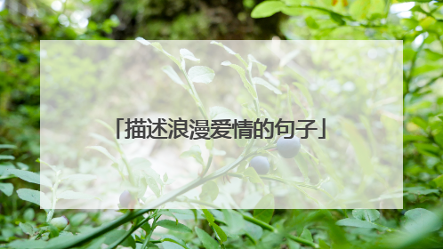描述浪漫爱情的句子