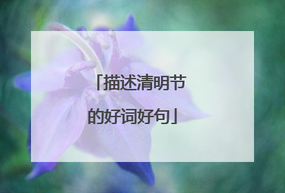 描述清明节的好词好句
