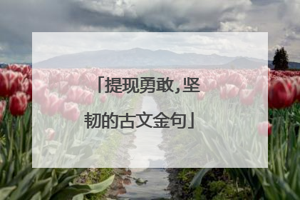 提现勇敢,坚韧的古文金句