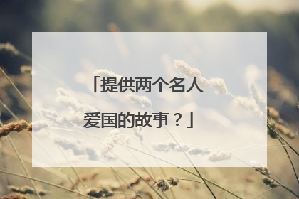提供两个名人爱国的故事?