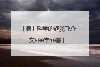 插上科学的翅膀飞作文500字10篇