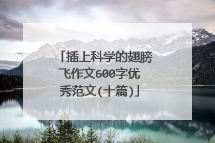 插上科学的翅膀飞作文600字优秀范文(十篇)