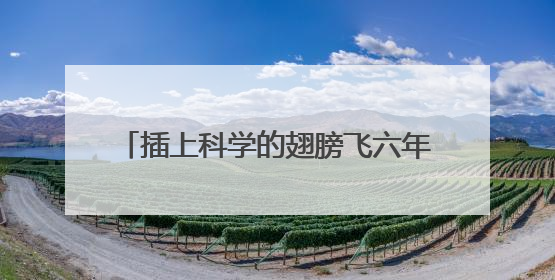 插上科学的翅膀飞六年级作文500字10篇