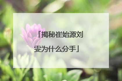 揭秘崔始源刘雯为什么分手