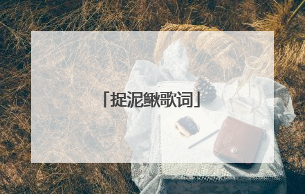捉泥鳅歌词