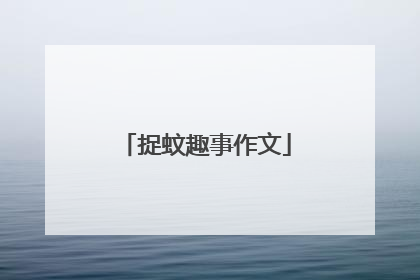 捉蚊趣事作文