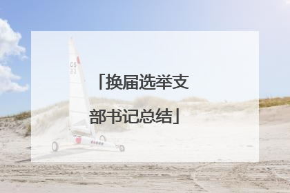 换届选举支部书记总结