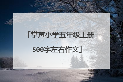 掌声小学五年级上册500字左右作文