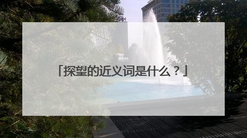 探望的近义词是什么?