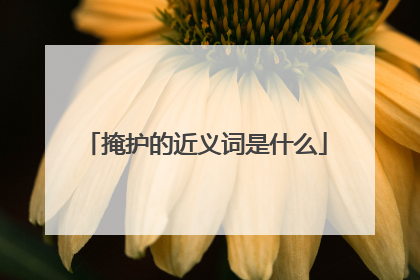 掩护的近义词是什么