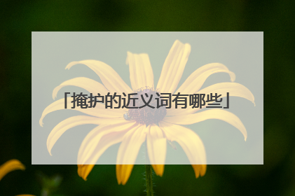掩护的近义词有哪些