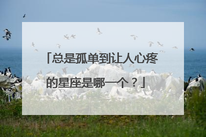 总是孤单到让人心疼的星座是哪一个？