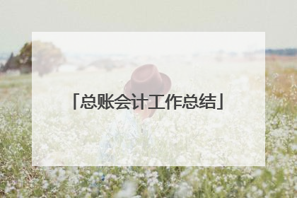 总账会计工作总结