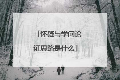怀疑与学问论证思路是什么