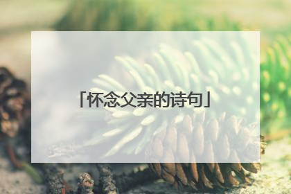怀念父亲的诗句
