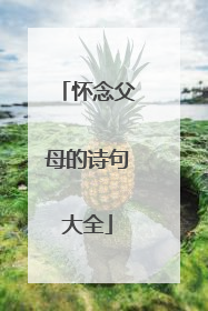 怀念父母的诗句大全