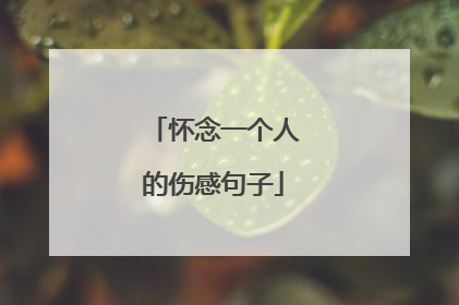 怀念一个人的伤感句子