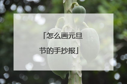 怎么画元旦节的手抄报