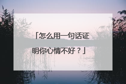 怎么用一句话证明你心情不好?