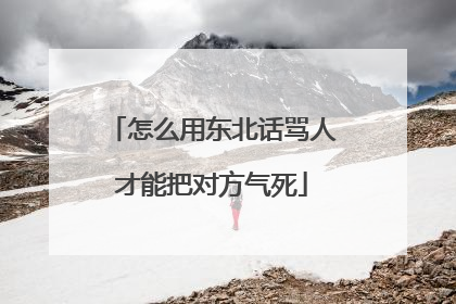 怎么用东北话骂人才能把对方气死