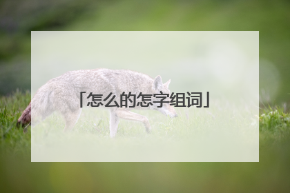 怎么的怎字组词